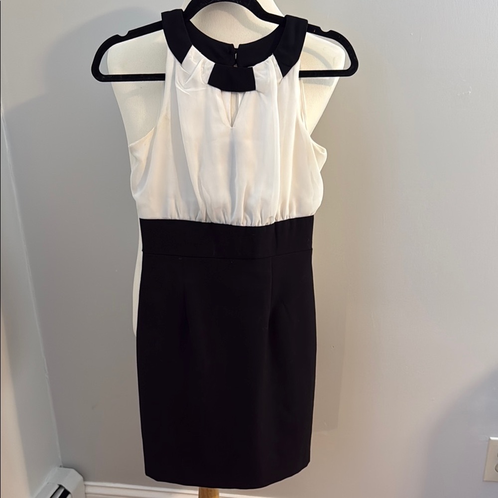 Elegant Black and White Sleeveless Dress